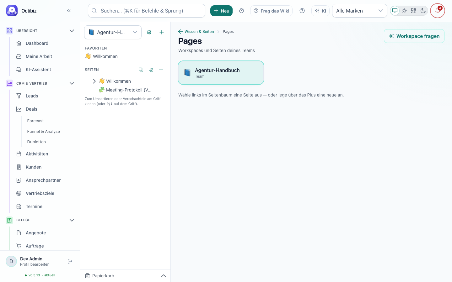 Ansicht Seiten & Datenbanken in Octibiz